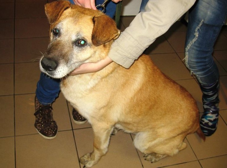 Wyrzucony jak zbędny śmieć