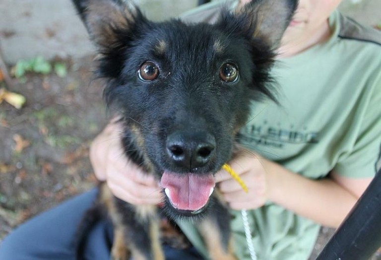 Nie przejdziesz obojętnie