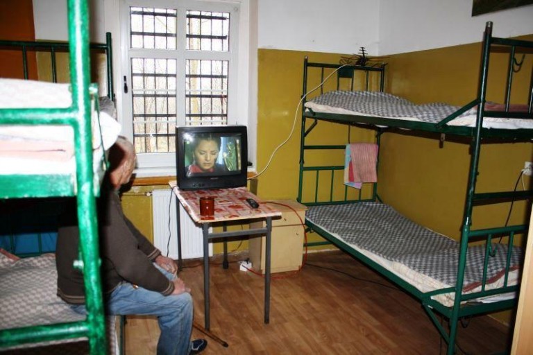 Przetrwali atak zimy