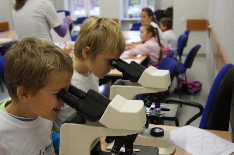 Czy biedronki mają uszy?