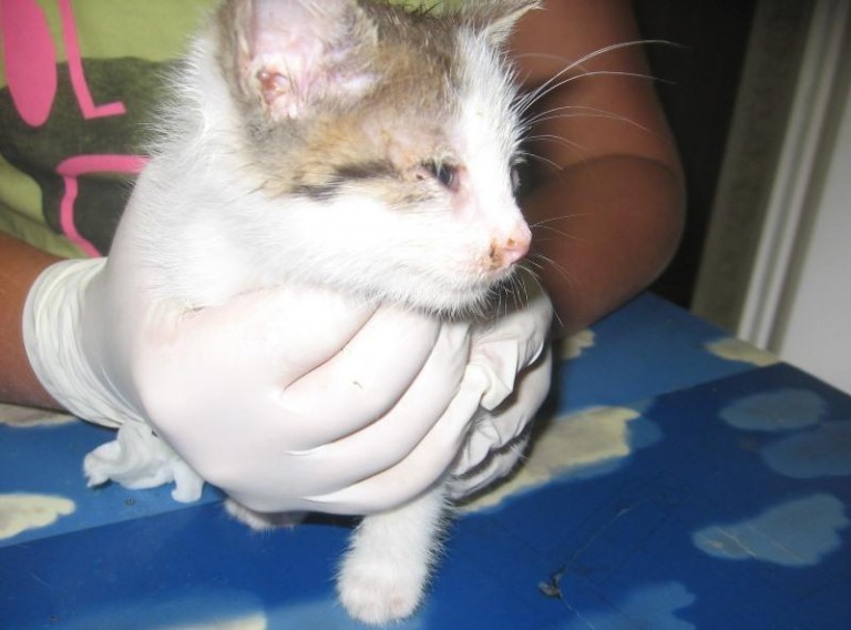 W pudełku na odludziu