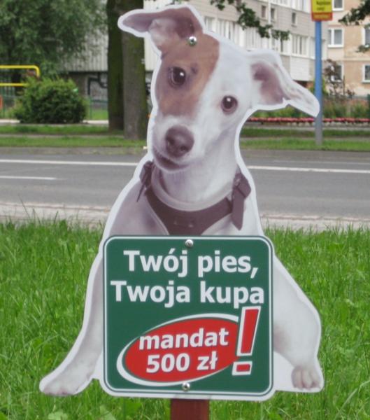 Na psi problem – żółta kartka