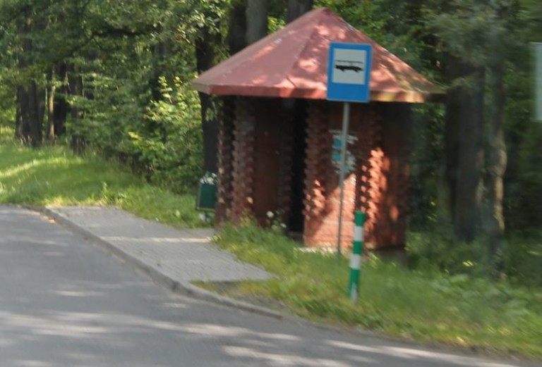 Pomylił kierunki, zaszedł daleko