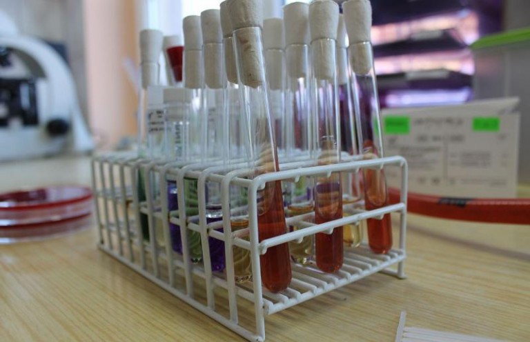 Kolejne podejrzenia AH1N1