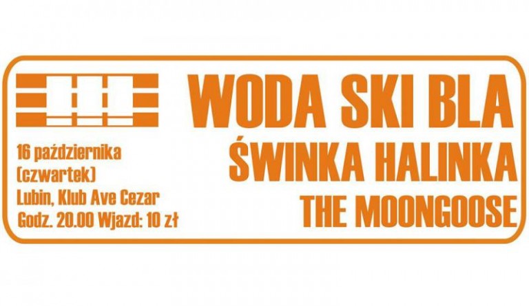 Koncert w Ave Cezar
