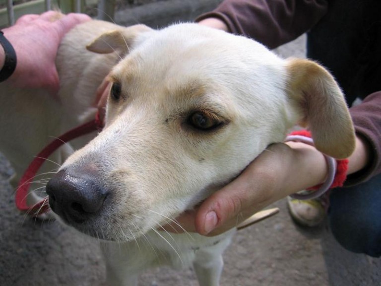 Znaleziona na Mickiewicza