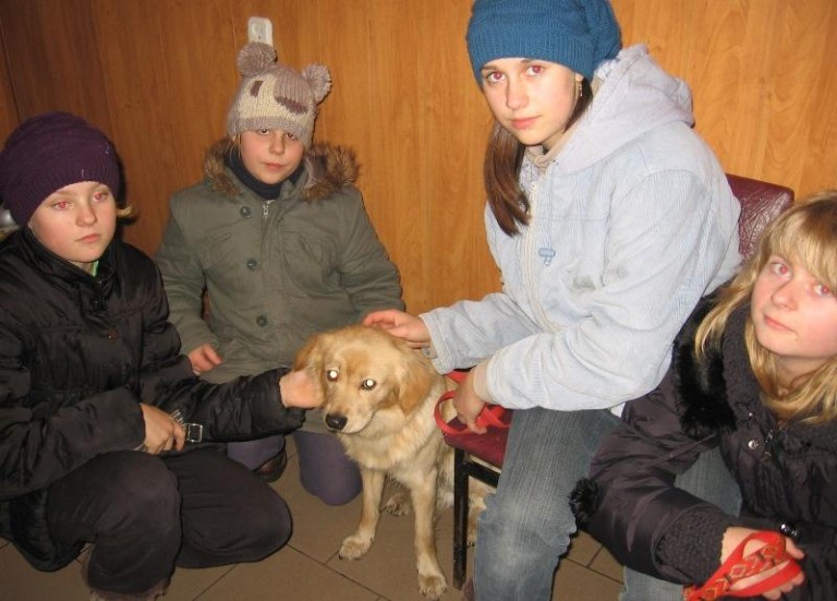 Bez domu przed świętami