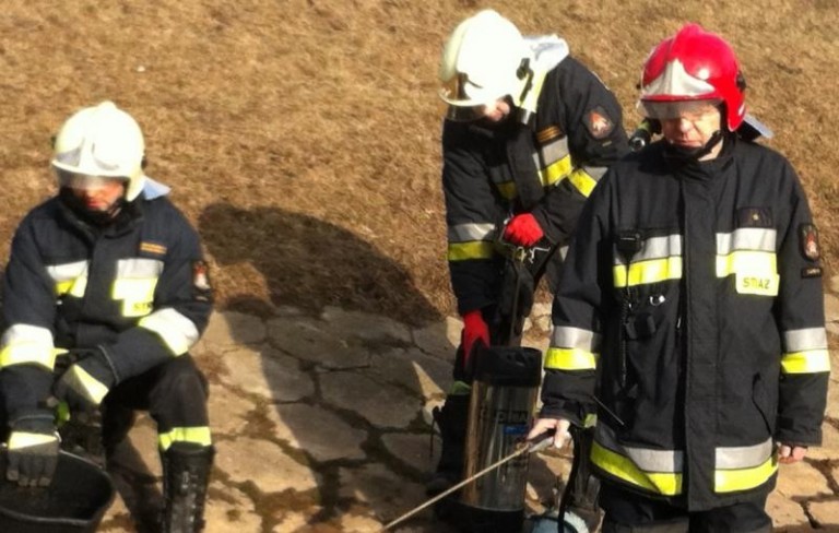 Jedyni w województwie