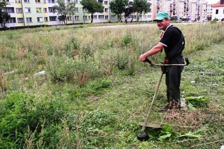 Sianokosy w dziurze (FOTO)