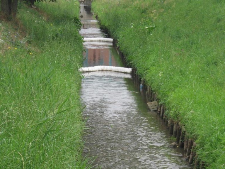 Ustalą linię brzegową Baczyny