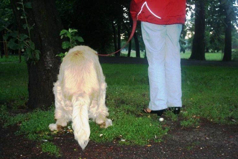 Zmieniają mentalność lubinian