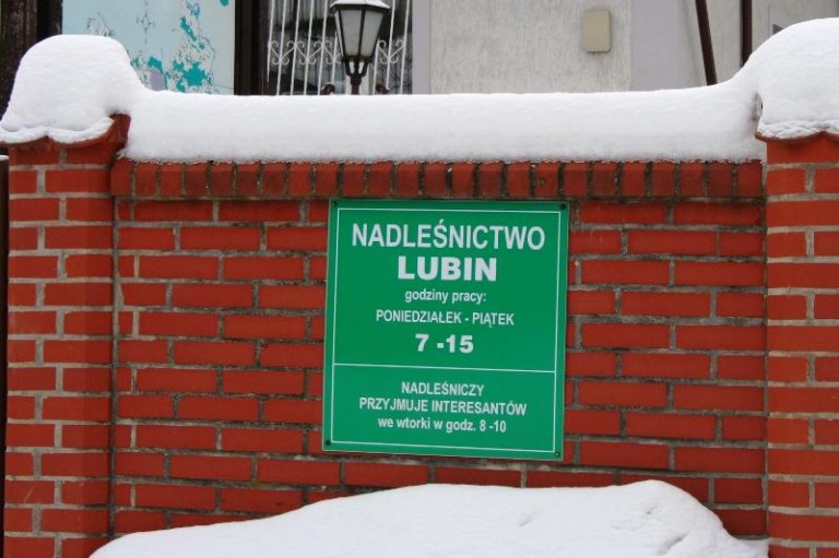 Nieruchalski zastąpił Damiana M.