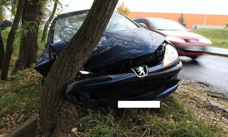 Samochodem w drzewo