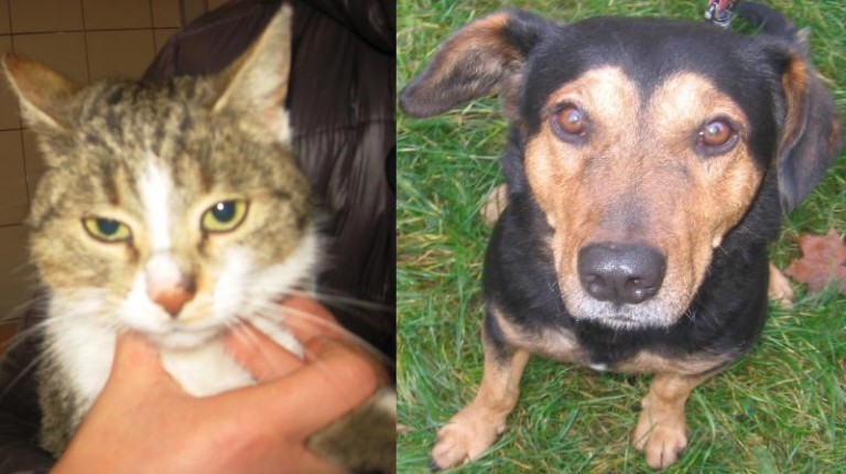 Dzięki nim znikną jesienne smutki