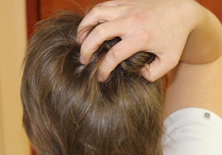 Wszawica atakuje szkoły