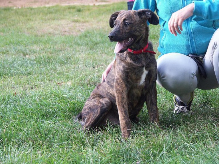 Czy ktoś je zechce?