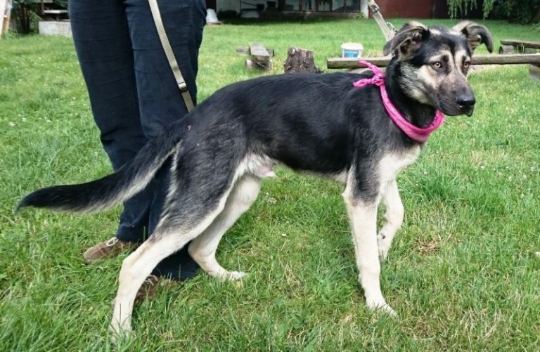 Może ktoś go szuka?