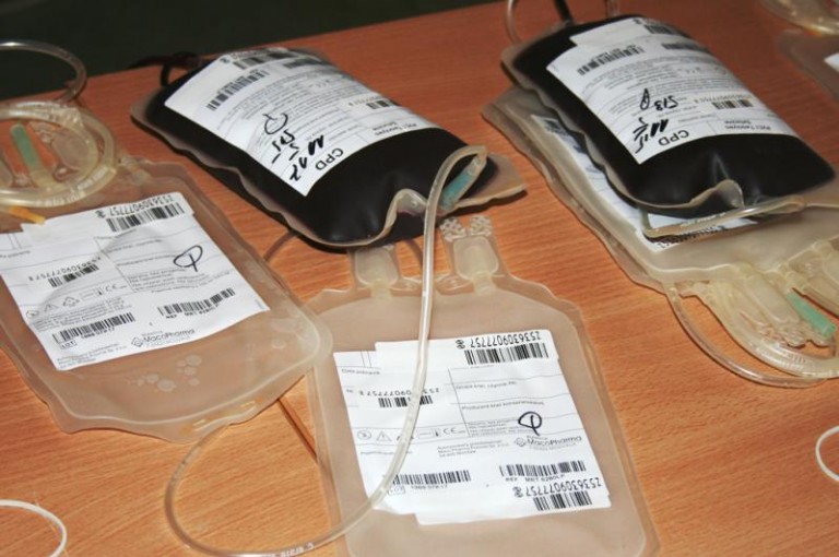 Przelej krew za niepodległość