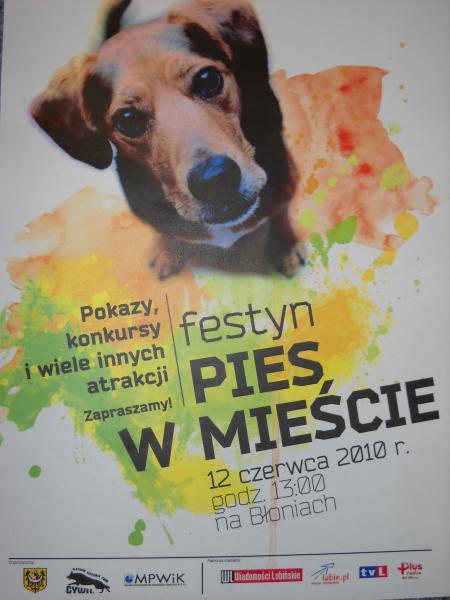 Psi festyn