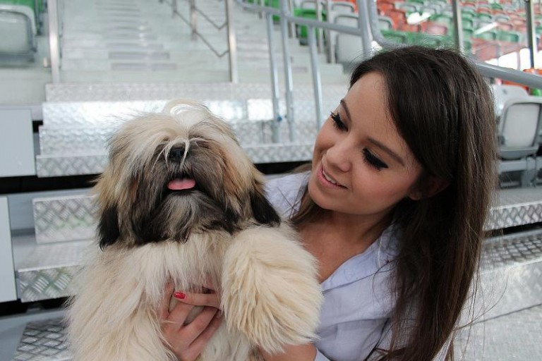 Psie piękności w lubińskiej hali