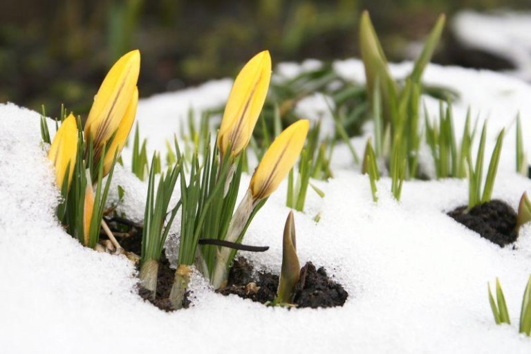 Ciepłe święta, powodziowy czerwiec