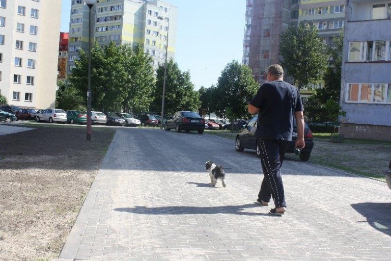 Z Kruczej na skróty