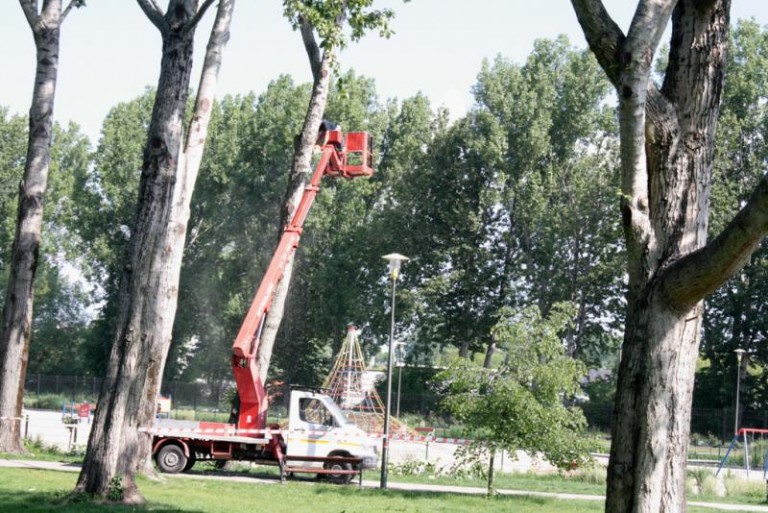 Przygotowują się dla zwiedzających