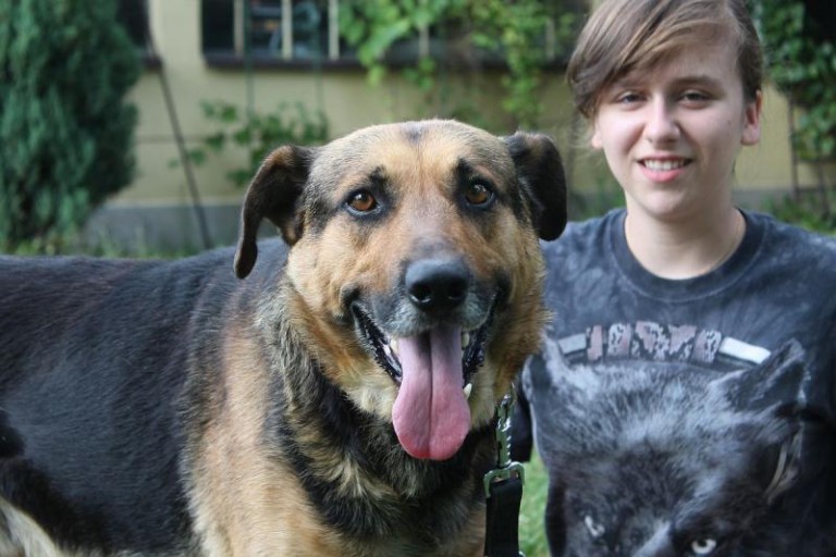 Potrzebni wolontariusze do lecznicy