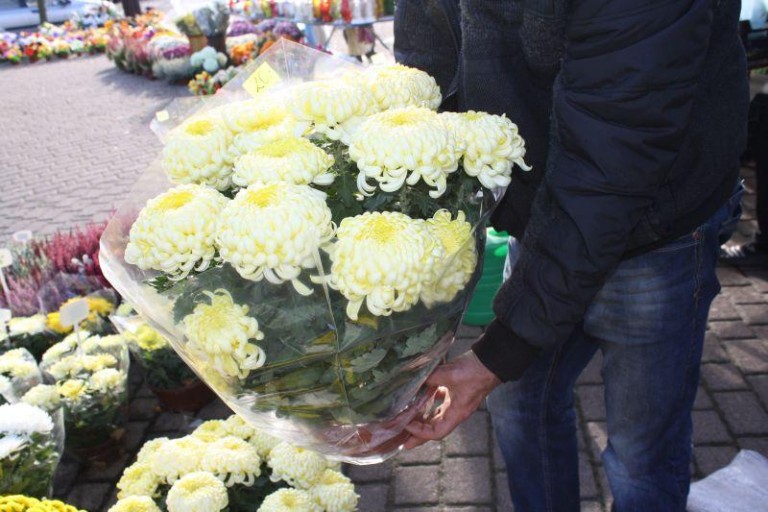 Od żywych wolą sztuczne