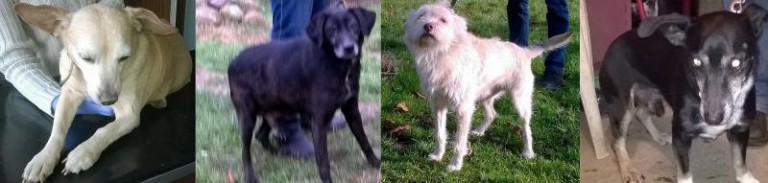 Dla nich rok nie zaczął się dobrze