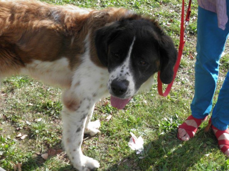 Więzienie na balkonie (AKTUALIZACJA)