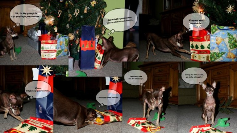 Koniec konkursu. Bilety rozdane