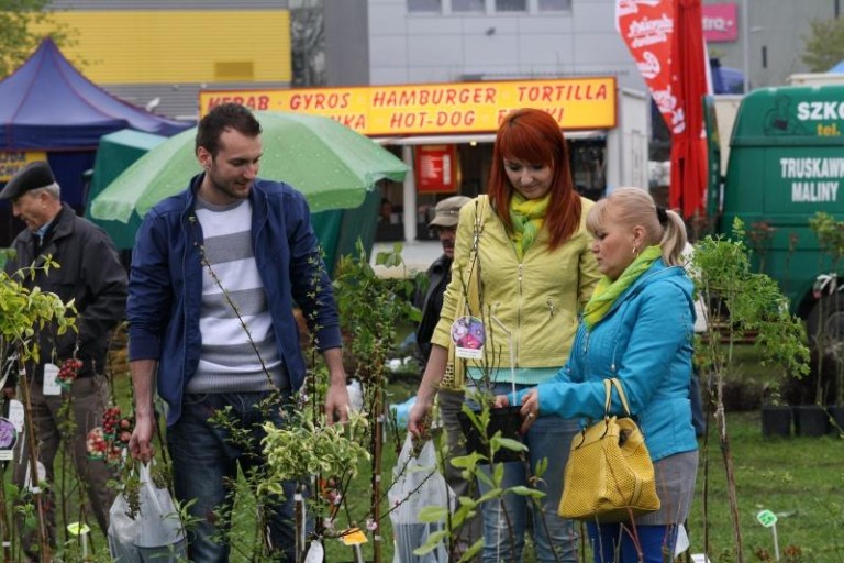Kwiaty lepsze niż piwo