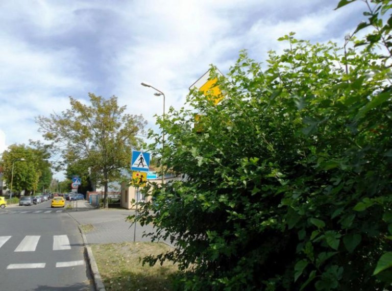 Pytanie gdzie jest znak?