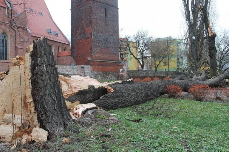 Szacują straty po wichurze