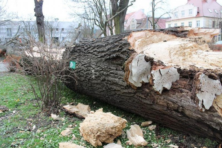 Nie jest już pomnikiem, można posprzątać