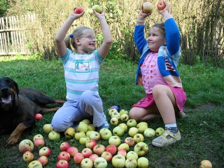 Lubin wybrał owoce i warzywa