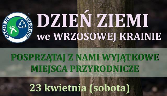 Posprzątają las i znajdą skrytki