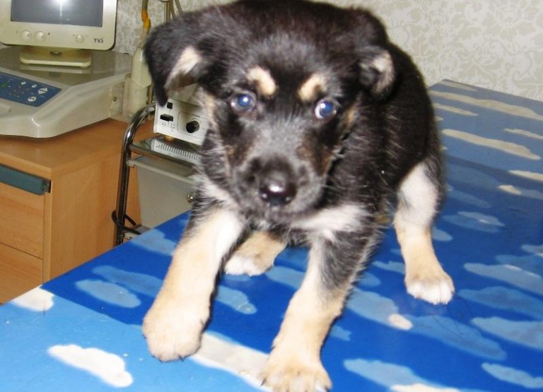 Wyrzucona na deszcz w kartonie