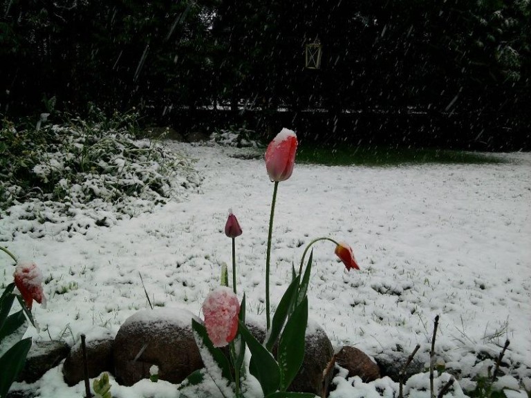 Sanki zamiast majówki (FOTO)