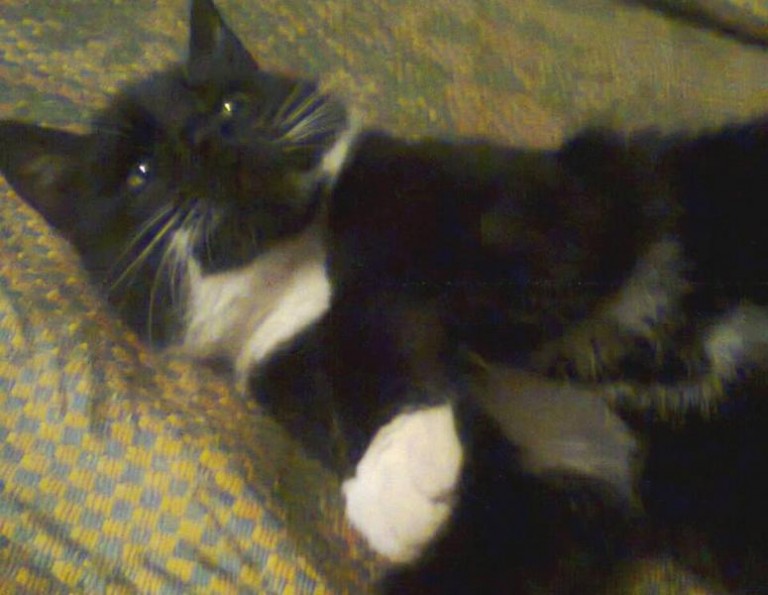 Nagroda za odnalezienie