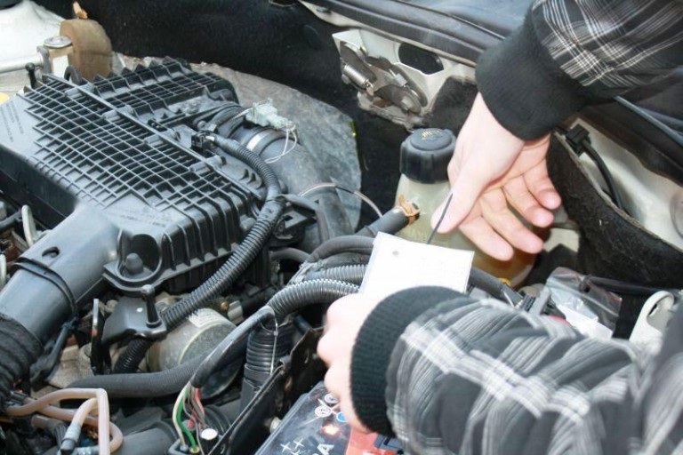 Uwaga! Kuny atakują