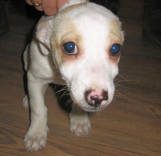 Znaleziona na cmentarzu