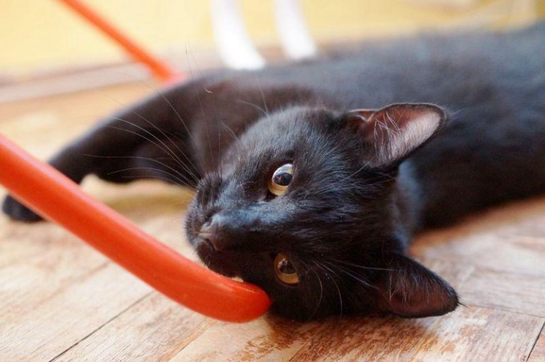 Jedna znaleziona, drugi zaginiony