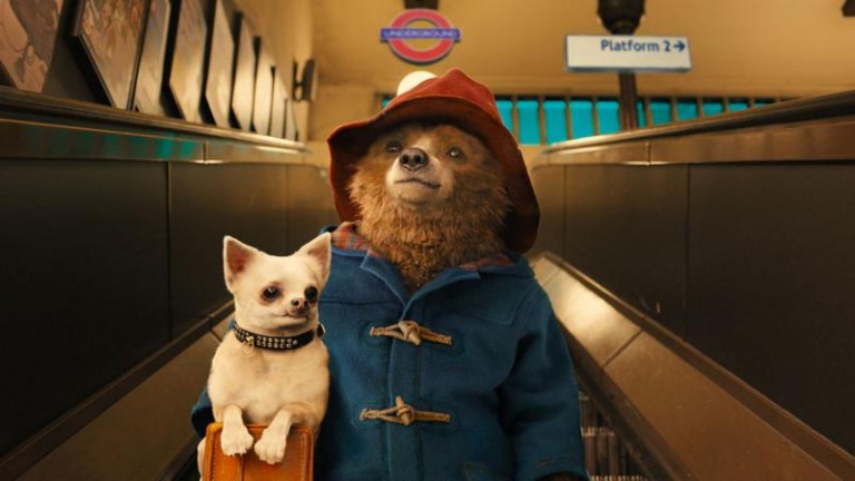 Dzikie historie i miś Paddington