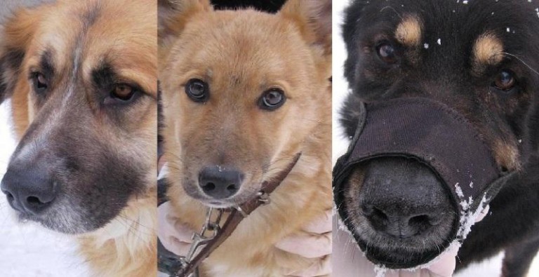 Bohater ma pana. Reszta wciąż czeka