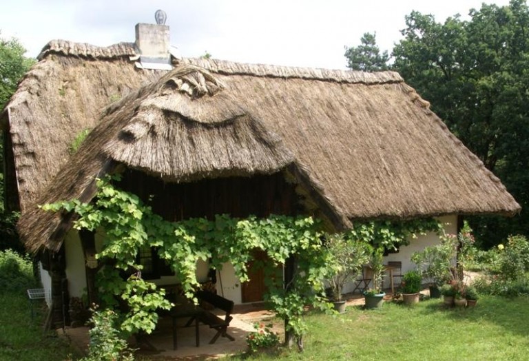 Mieszczuchy uciekają do Obory i Osieka