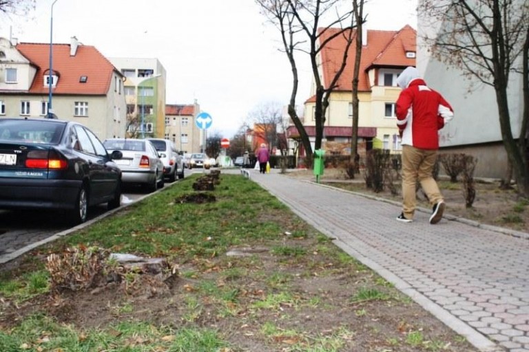 Nie chcą karczowiska w mieście