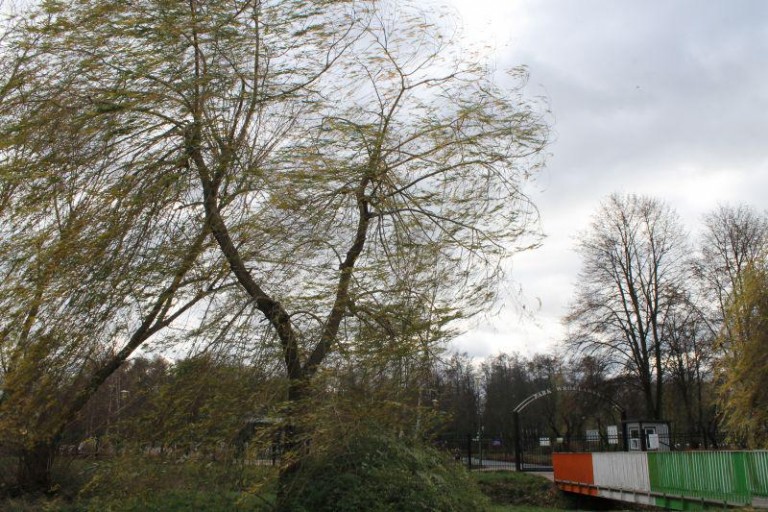 Dziś park Wrocławski zamknięty!