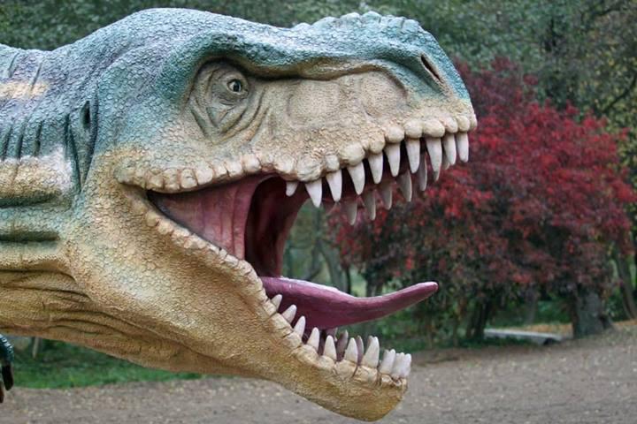 Niespodzianka. Park otworzą już dzisiaj!